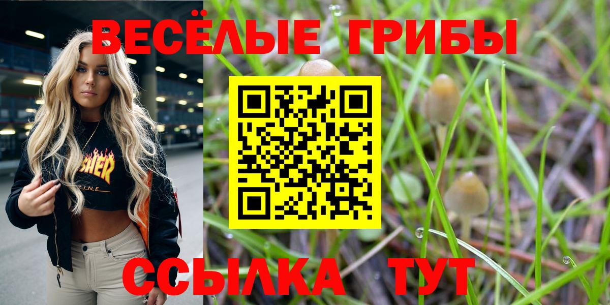 Псилоцибиновые грибы Cubensis Новокуйбышевск