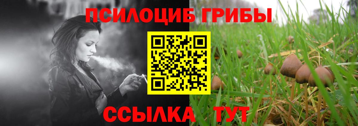Лсд 25  Новокуйбышевск  Мефедрон   Вход с VPN  Cocaine  Гашиш  Codein 