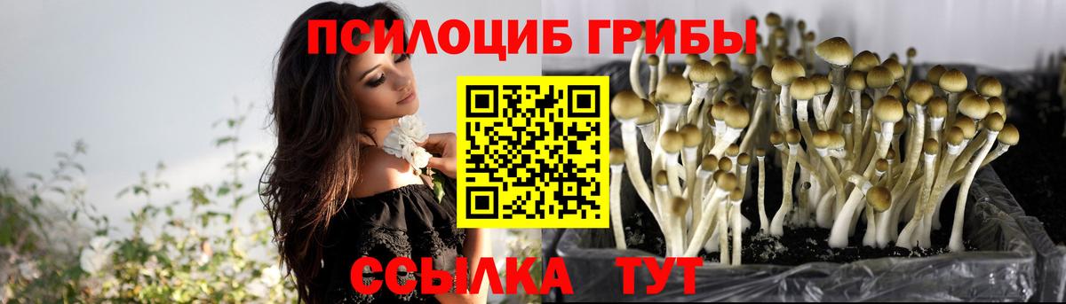 Новокуйбышевск  Галлюциногенные грибы MAGIC MUSHROOMS  Вход с VPN 